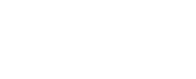 APG Logo